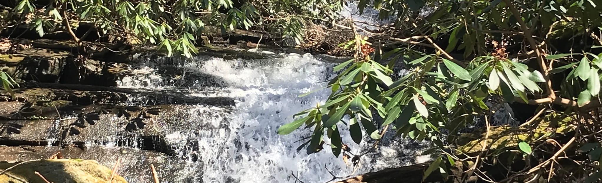 Cochran Creek Falls 278 Reviews, Map AllTrails