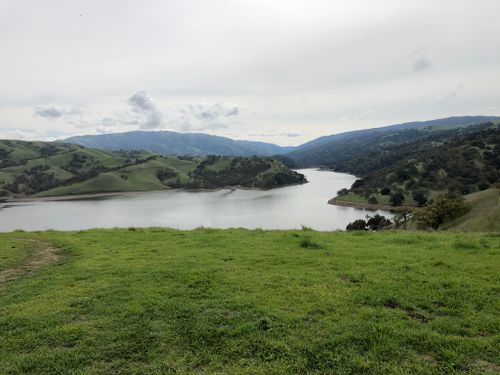 can dogs swim in lake del valle