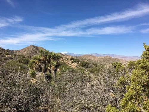 10 Best Hikes and Trails in Joshua Tree National Park