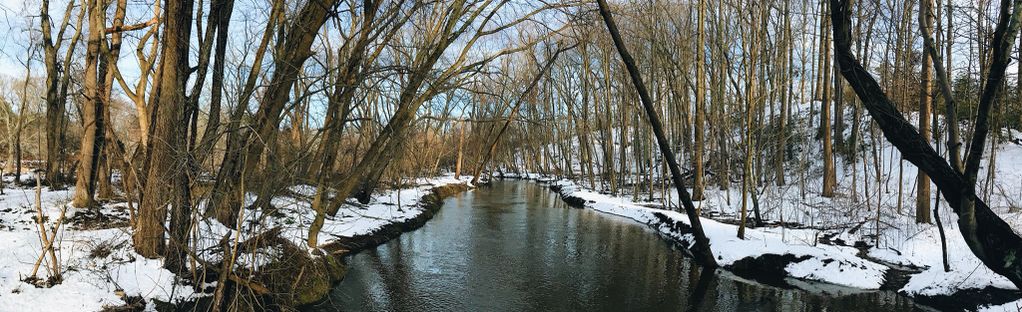 Tall Pines State Preserve – Sewell, NJ