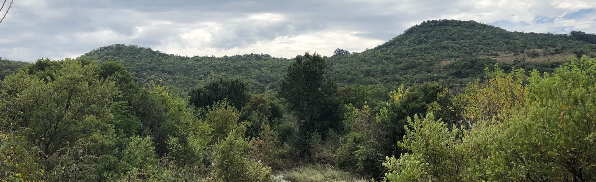 Faerie Glen Nature Reserve Loop 208 Reviews, Map Gauteng, South