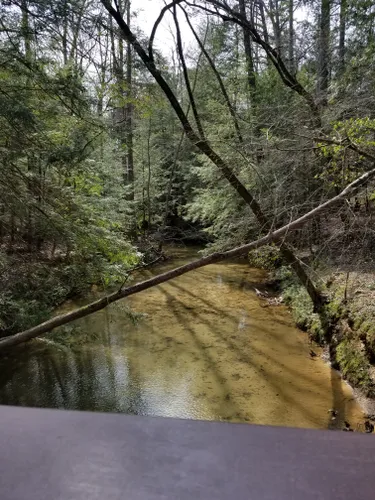 10 Best Hikes And Trails In William B Bankhead National Forest | AllTrails