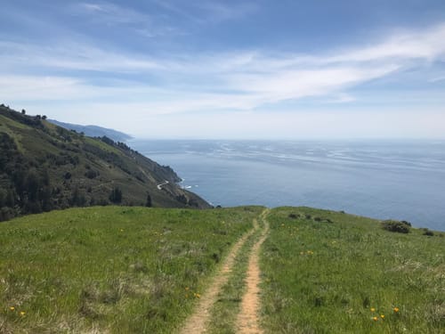 where can i hike with my dog in big sur