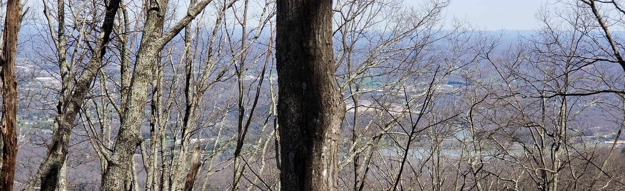 Cross Mountain via the Cumberland Trail: 38 Reviews, 91 Photos, Map ...