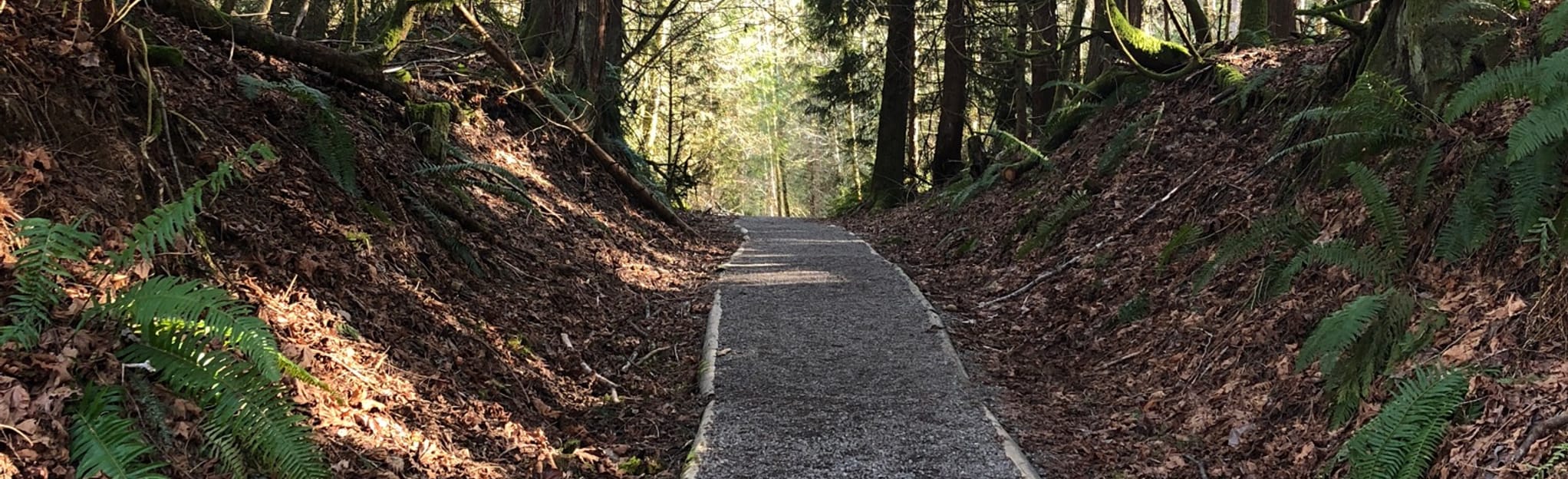 Red Town Trail to Wildside Trail - EyJidWNrZXQiOiJhc3NldHMuYWxsdHJhaWxzLmNvbSIsImtleSI6InVwbG9hZHMvcGhvdG8vaW1hZ2UvMjAyNjczODIvNzk0N2VmZjk1ZTI4ZjUzNTgzYzdlZTllZTI4NGJiNTcuanBnIiwiZWRpdHMiOnsidG9Gb3JtYXQiOiJqcGVnIiwicmVzaXplIjp7IndpZHRoIjoyMDQ0LCJoZWlnaHQiOjYyNCwiZml0IjoiY292ZXIifSwicm90YXRlIjpudWxsLCJqcGVnIjp7InRyZWxsaXNRdWFudGlzYXRpb24iOnRydWUsIm92ZXJzaG9vdERlcmluZ2luZyI6dHJ1ZSwib3B0aW1pc2VTY2FucyI6dHJ1ZSwicXVhbnRpc2F0aW9uVGFibGUiOjN9fX0=