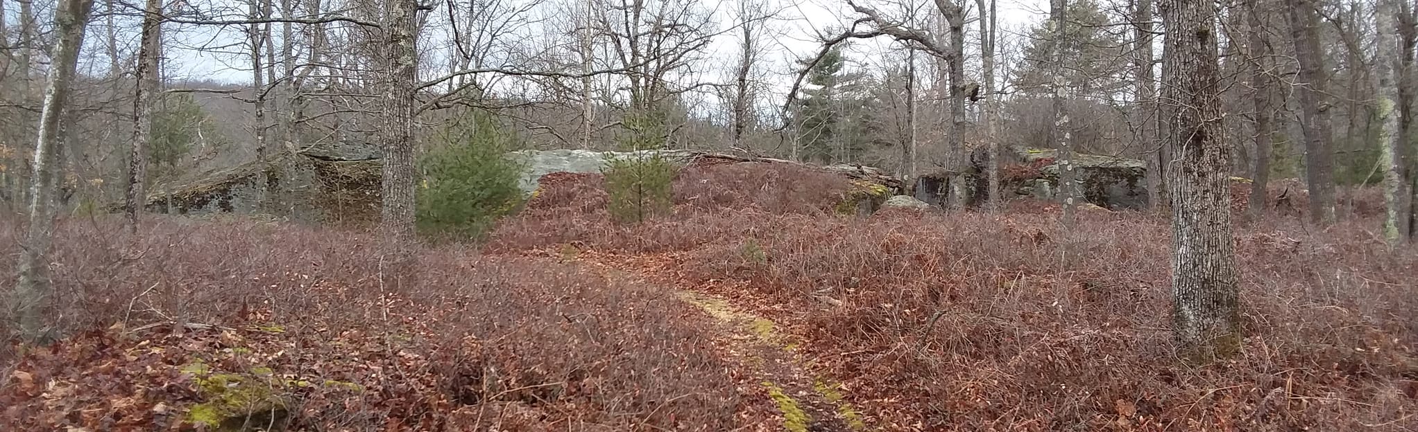 Kunes Camp Trail 60 Reviews, Map Pennsylvania AllTrails