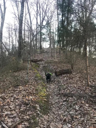 Jefferson memorial shop forest hiking