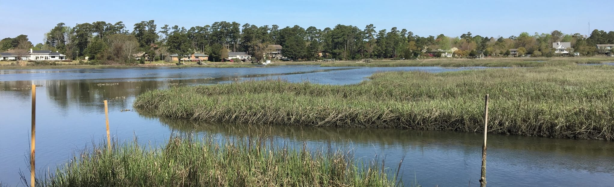 Pages Creek Trail, North Carolina 128 Reviews, Map AllTrails