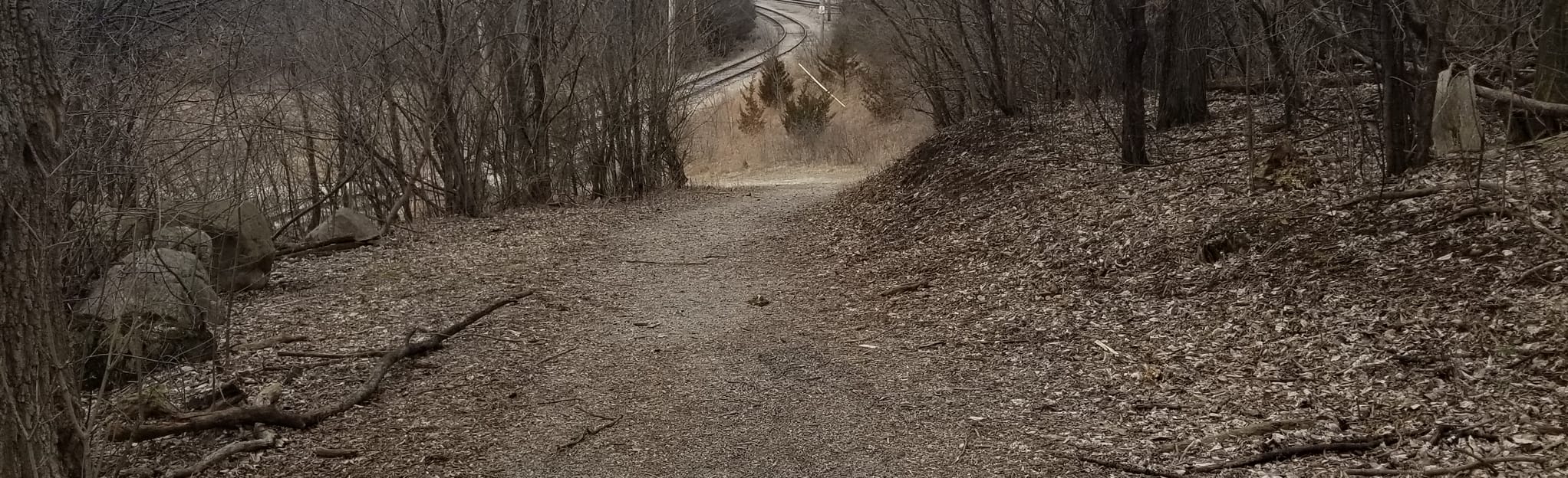 Old Quarry Road Trail 177 Reviews, Map Illinois AllTrails