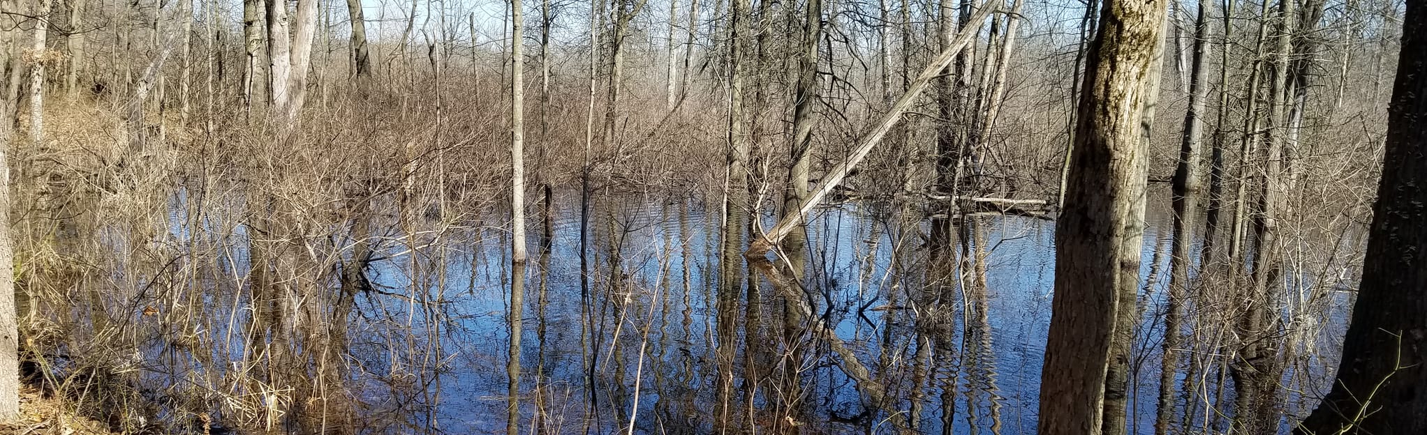 Dune Park Train Station to Dunewood Campground, Indiana 20 Reviews