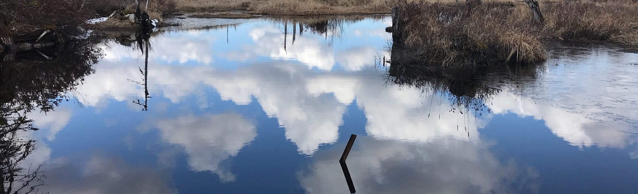 Pockwock CrossCountry Ski Loop 30 Reviews, Map Nova Scotia, Canada