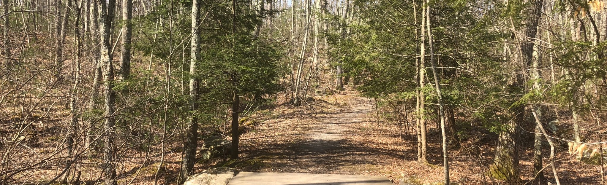 AllTrails Steere Hill and Heritage Park Loop 957 Reviews, Map