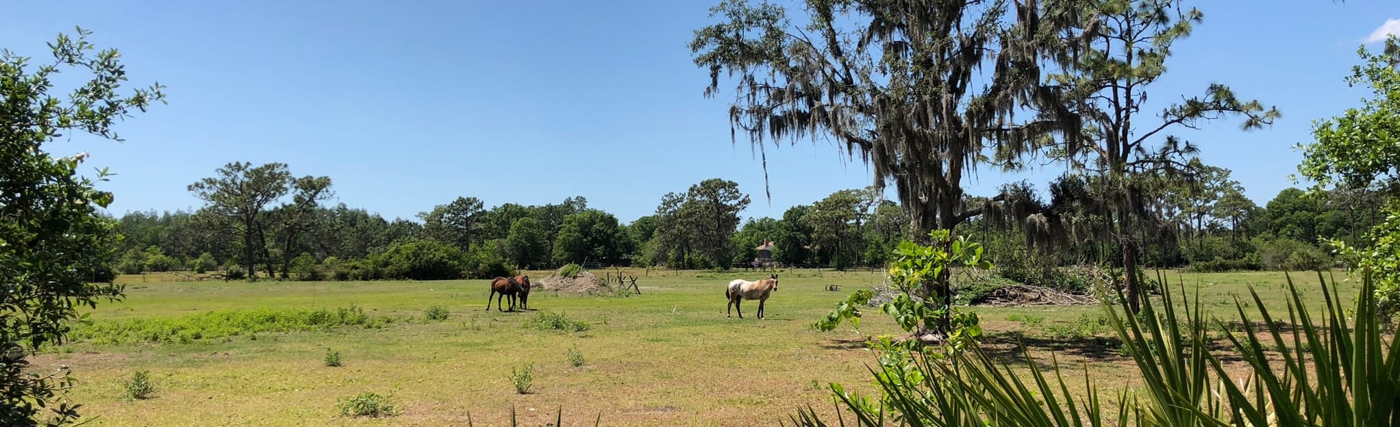 Northdale Lake Park Trail, Florida 98 Reviews, Map AllTrails