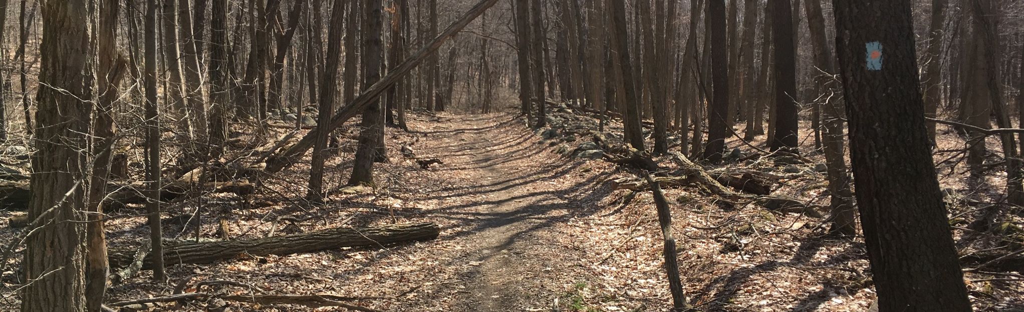 Escape to Serenity: Unwinding in the Heart of Maine's Nassahegon State Forest