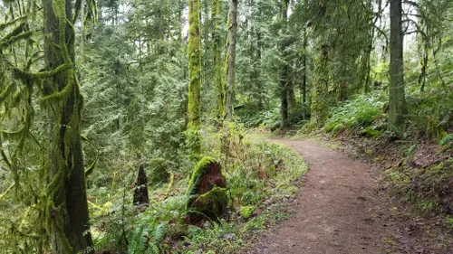 10 Best Trails and Hikes in Redmond | AllTrails