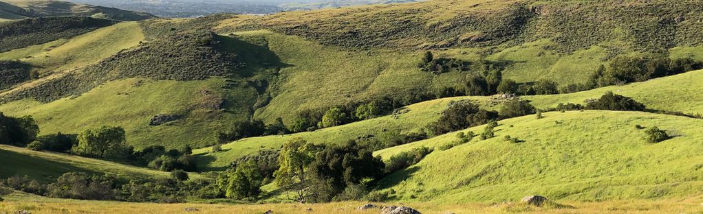 The Santa Clara Valley countryside south of San Jose is absolutely gorgeous  from the Coyote Peak