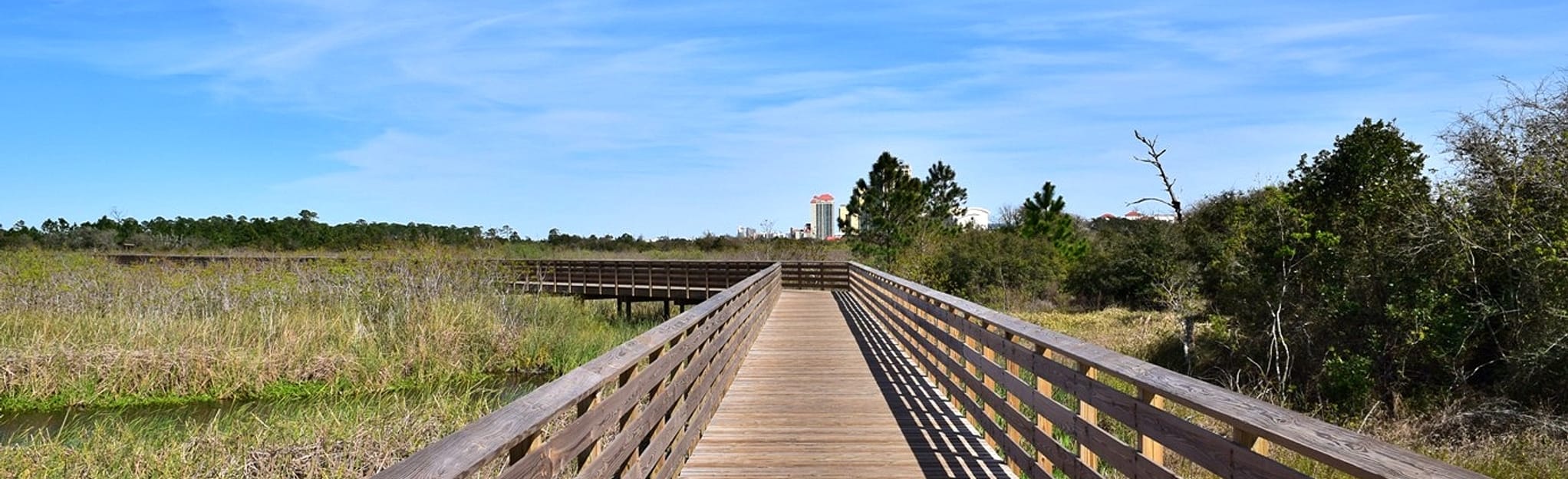 Rattlesnake Ridge to Rosemary Dunes to Shelby Lake Loop, Alabama 242