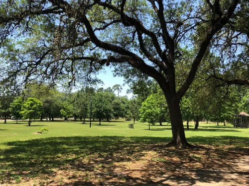 Exploring Houston - Memorial Park