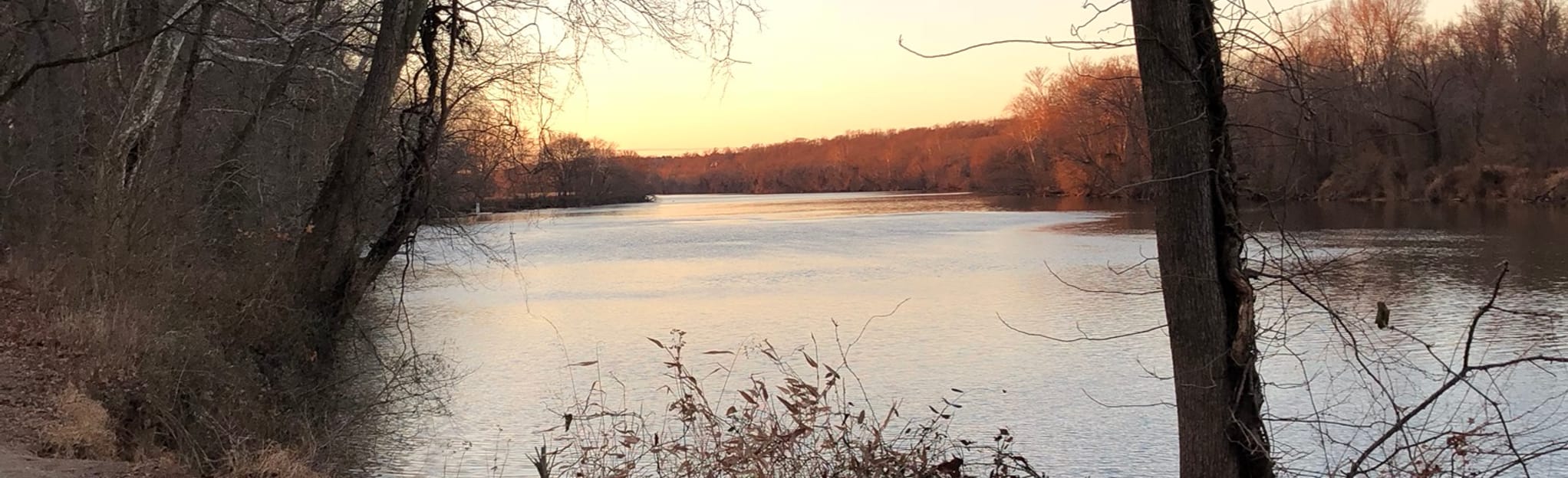 Robious Landing Short Loop 108 Reviews, Map Virginia AllTrails