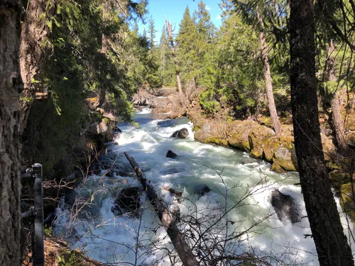 10 Best Hikes and Trails in Rogue - EyJidWNrZXQiOiJhc3NldHMuYWxsdHJhaWxzLmNvbSIsImtleSI6InVwbG9hZHMvcGhvdG8vaW1hZ2UvMjAzNDIxNDMvMDBjYzE4ZjgzZWY3OGE0NWY1YmQ5NTk0ZDUyNDYxZWYuanBnIiwiZWRpdHMiOnsidG9Gb3JtYXQiOiJ3ZWJwIiwicmVzaXplIjp7IndpZHRoIjo1MDAsImhlaWdodCI6NTAwLCJmaXQiOiJpbnNpZGUifSwicm90YXRlIjpudWxsLCJqcGVnIjp7InRyZWxsaXNRdWFudGlzYXRpb24iOnRydWUsIm92ZXJzaG9vdERlcmluZ2luZyI6dHJ1ZSwib3B0aW1pc2VTY2FucyI6dHJ1ZSwicXVhbnRpc2F0aW9uVGFibGUiOjN9fX0=