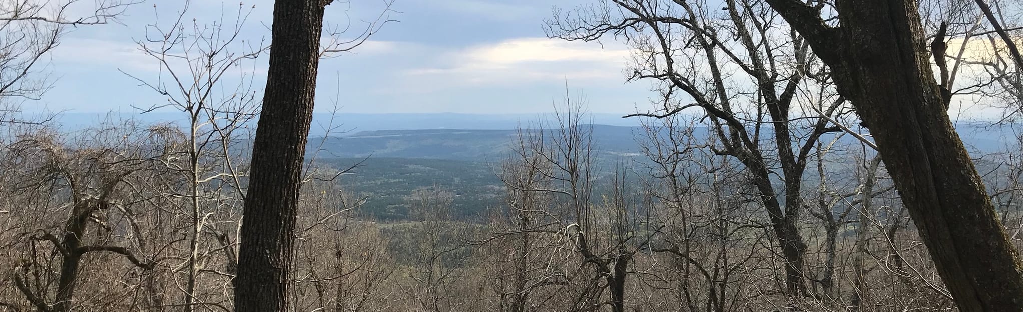 Cove Lake Trail Map, Guide Arkansas AllTrails