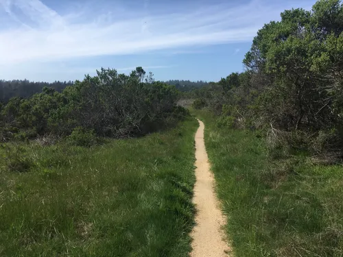 10 Best Hikes and Trails in Wilder - EyJidWNrZXQiOiJhc3NldHMuYWxsdHJhaWxzLmNvbSIsImtleSI6InVwbG9hZHMvcGhvdG8vaW1hZ2UvMjAzNTQ1NjEvMmM3MGYzMDdhYzE4MzhhNWNlMTg4YTljOThlZjRlMjcuanBnIiwiZWRpdHMiOnsidG9Gb3JtYXQiOiJ3ZWJwIiwicmVzaXplIjp7IndpZHRoIjo1MDAsImhlaWdodCI6NTAwLCJmaXQiOiJpbnNpZGUifSwicm90YXRlIjpudWxsLCJqcGVnIjp7InRyZWxsaXNRdWFudGlzYXRpb24iOnRydWUsIm92ZXJzaG9vdERlcmluZ2luZyI6dHJ1ZSwib3B0aW1pc2VTY2FucyI6dHJ1ZSwicXVhbnRpc2F0aW9uVGFibGUiOjN9fX0=