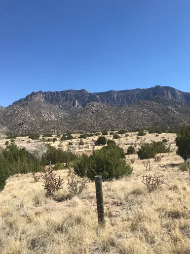 10 Best Hikes and Trails in Elena Gallegos Picnic Area/Albert G. Simms ...