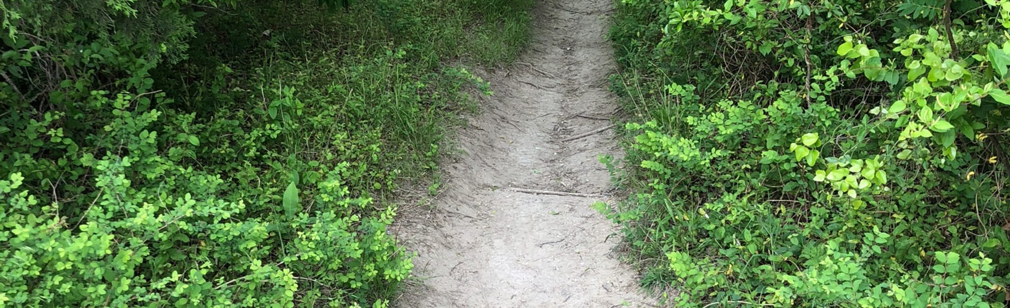 Spring Creek Interpretive Walking Trail 294 Reviews, Map Texas