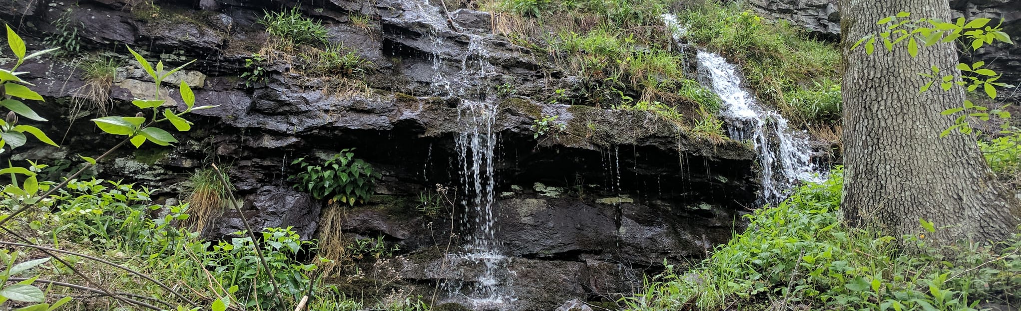 Keown Falls Trail, 607 Reviews, Map AllTrails