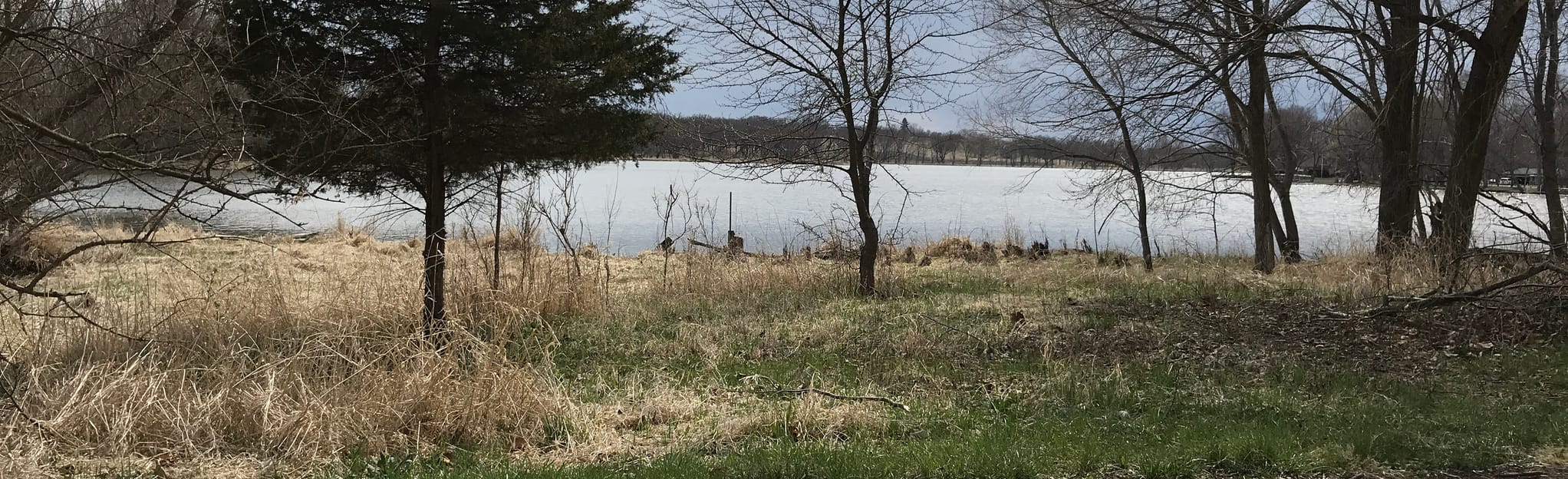 Grassy Lake Yellow Trail, Illinois 135 Reviews, Map AllTrails