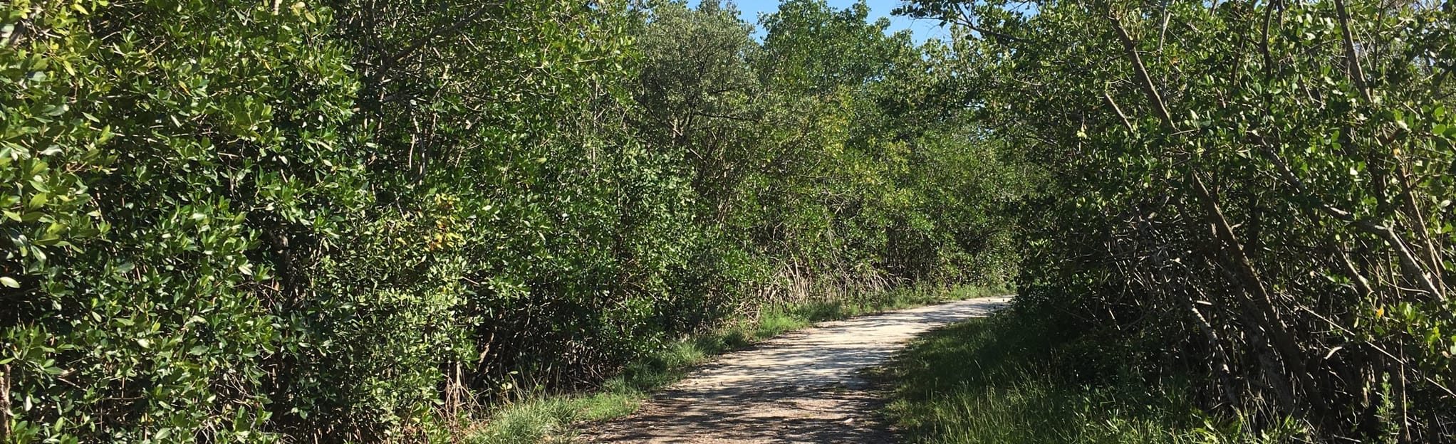 Lagoon Greenway Trail, Florida 348 Reviews, Map AllTrails