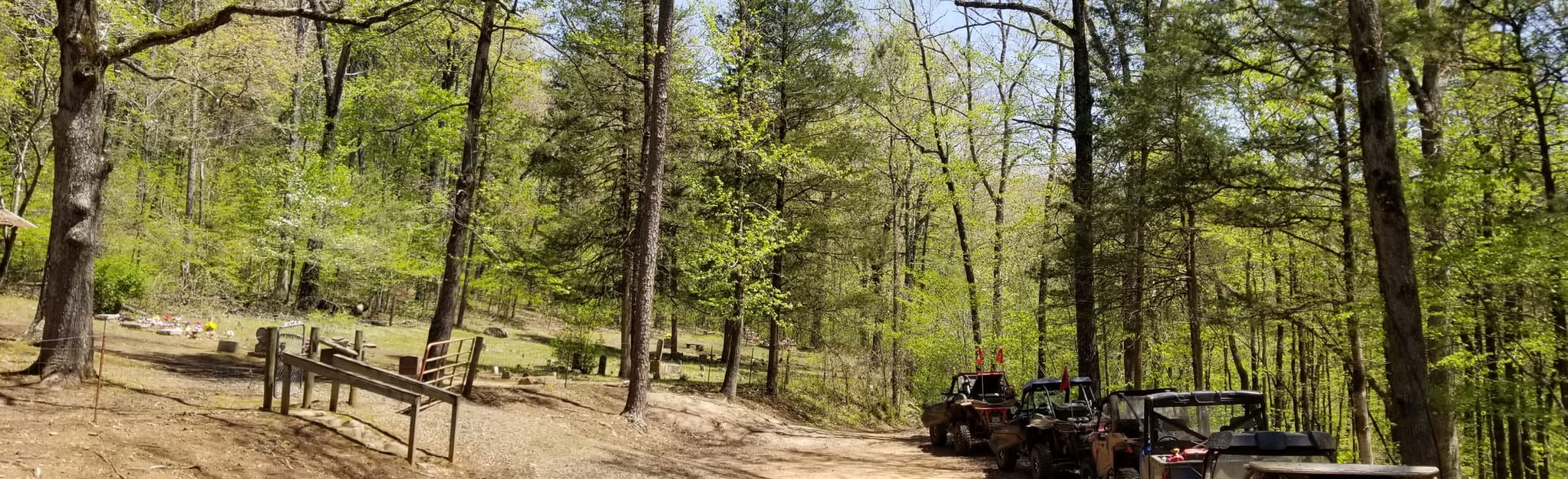 Mack's Pines East Side Loop Map, Guide Arkansas AllTrails