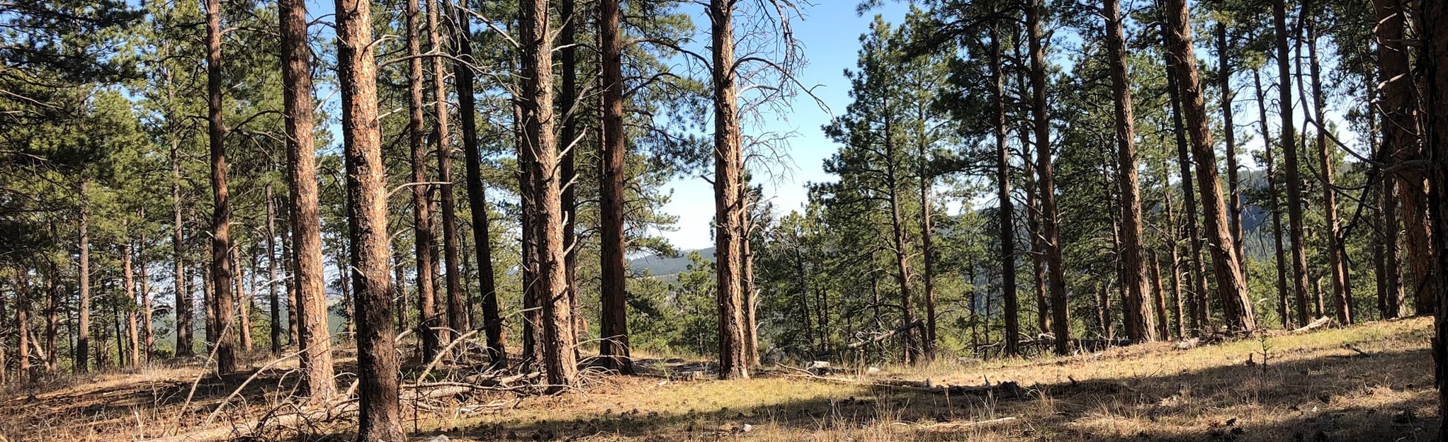 Buzzards Roost and Perimeter Loop, South Dakota 326 Reviews, Map