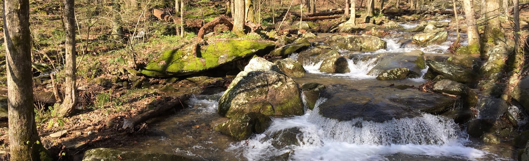 Appalachian Trail Rockfish Gap to Tye River, Virginia 13 Reviews