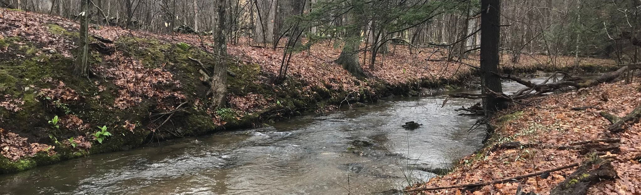 Mallory Preserve Trail | Map, Guide - Connecticut | AllTrails