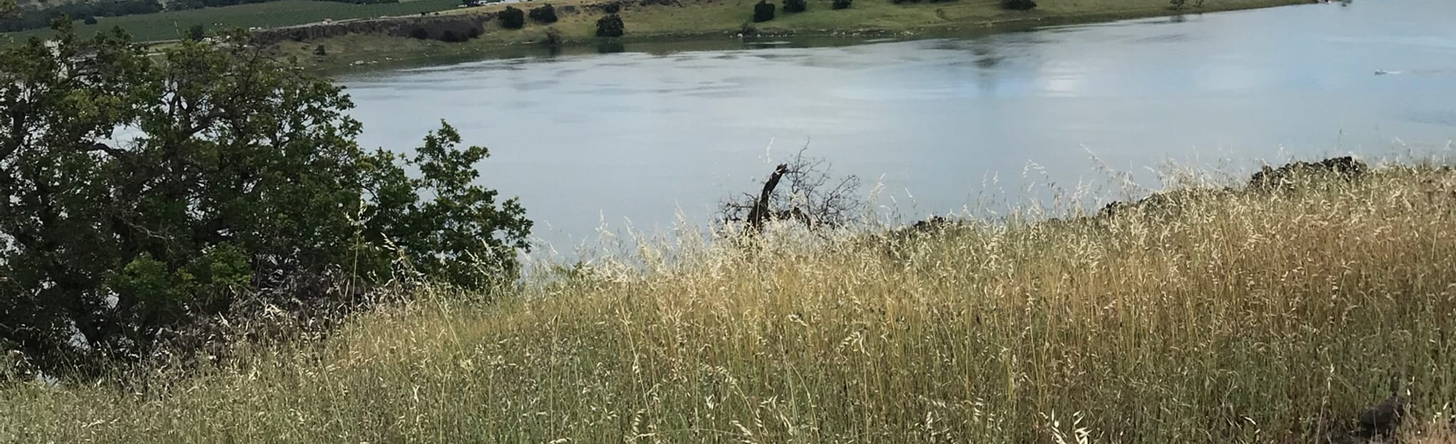 Black Butte Lake Topo Map in Glenn County, California