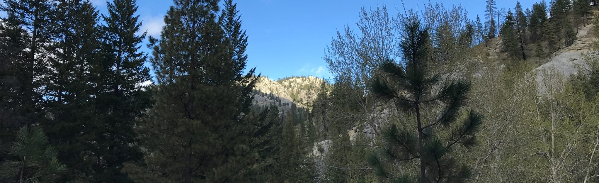 Devils Gulch, Washington - 17 Reviews, Map | AllTrails