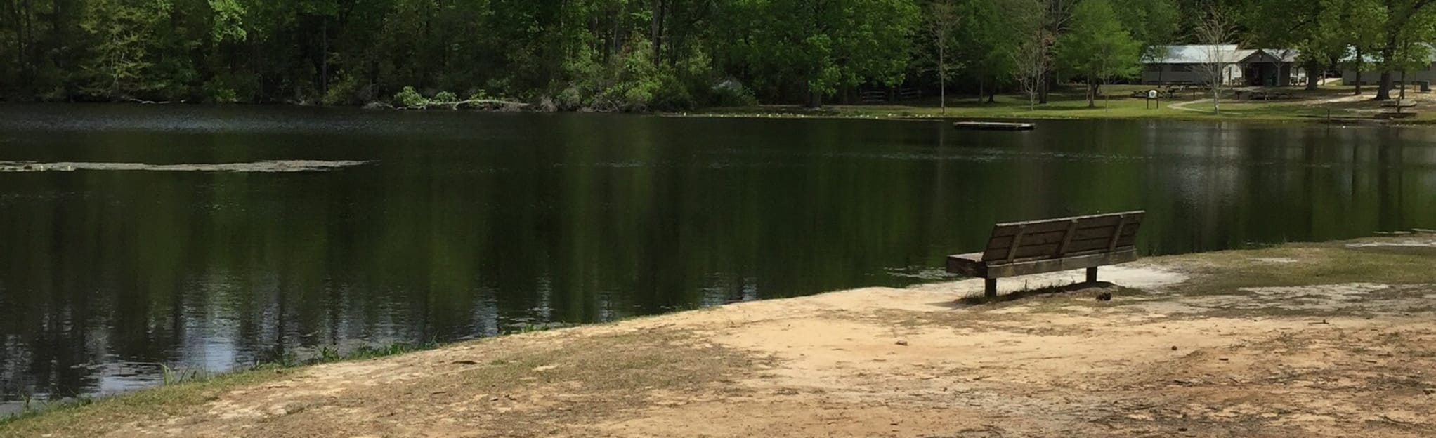 Barnwell State Park Loop, 173 Photos South Carolina AllTrails
