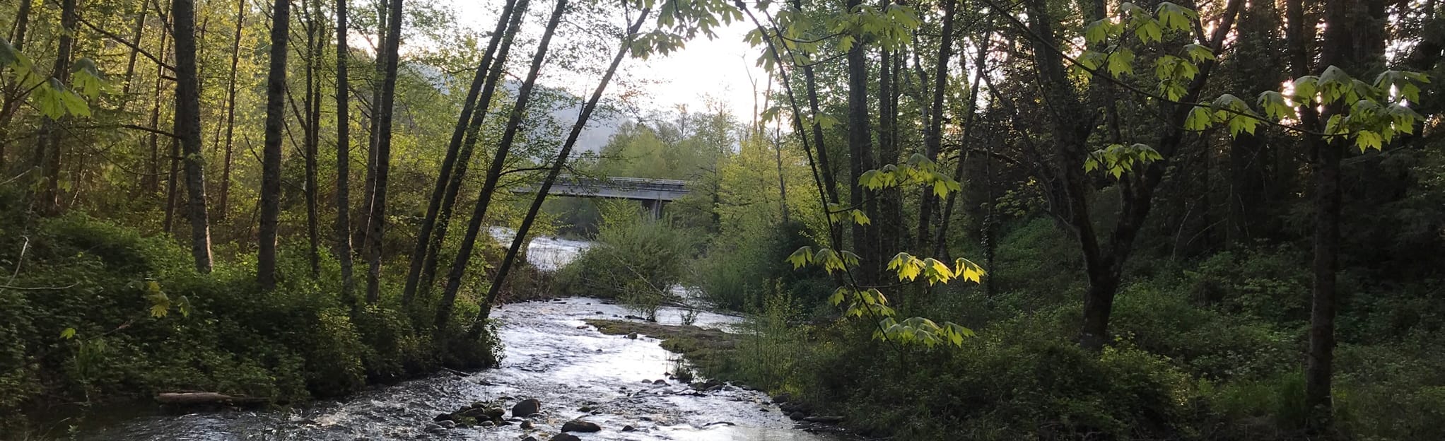 Salmon Creek Trail, Oregon 81 Reviews, Map AllTrails