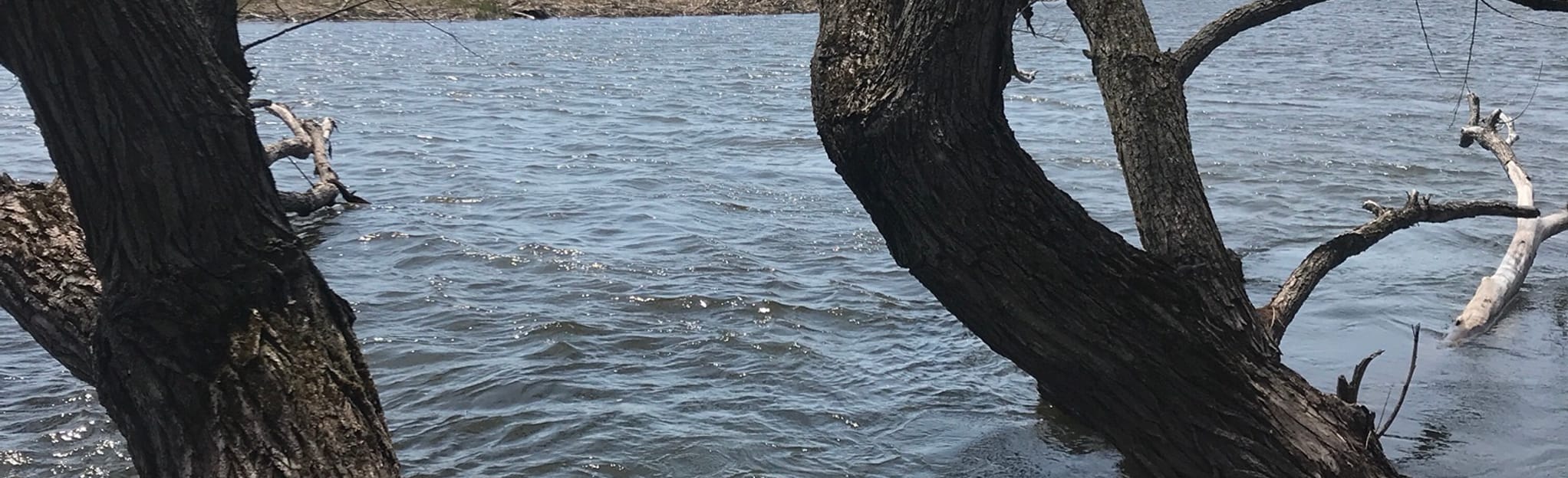 Sandy Creek, New York 19 Reviews, Map AllTrails