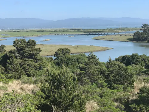 Best Wild Flowers Trails in Humboldt Bay National Wildlife Refuge ...