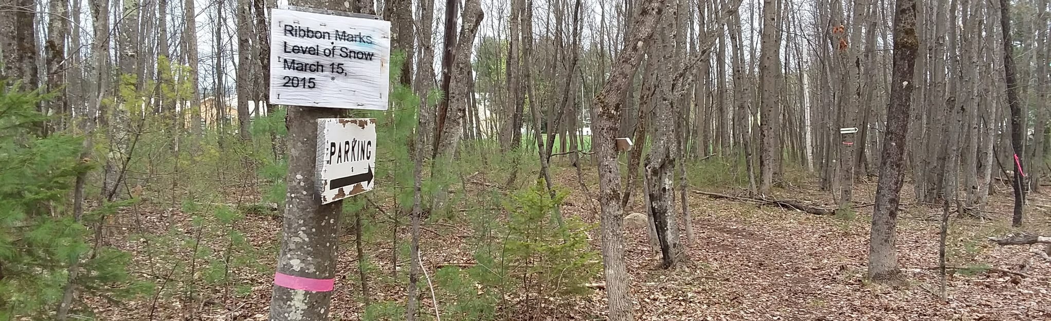 Shrine Trail 49 Reviews, Map Maine AllTrails