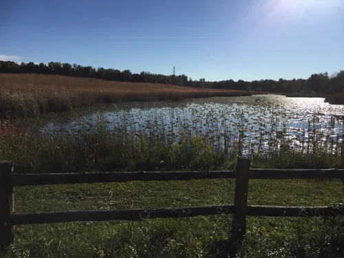 Best Hikes and Trails in Chippewa Nature Center AllTrails