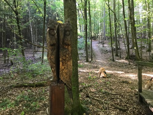 Hochrhöner Etappe 2: Stralsbach - Oberweißenbrunn