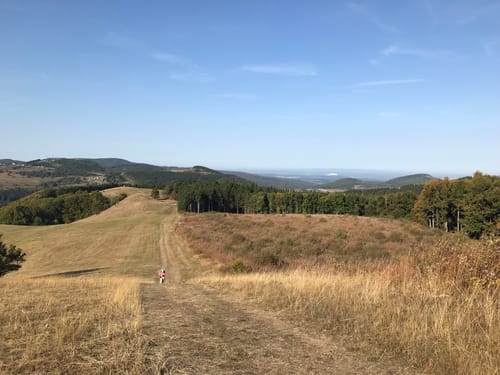 Hochrhöner Etappe 2: Stralsbach - Oberweißenbrunn
