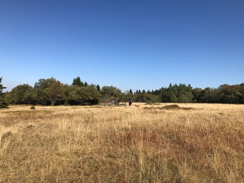 Hochrhöner Etappe 2: Stralsbach - Oberweißenbrunn