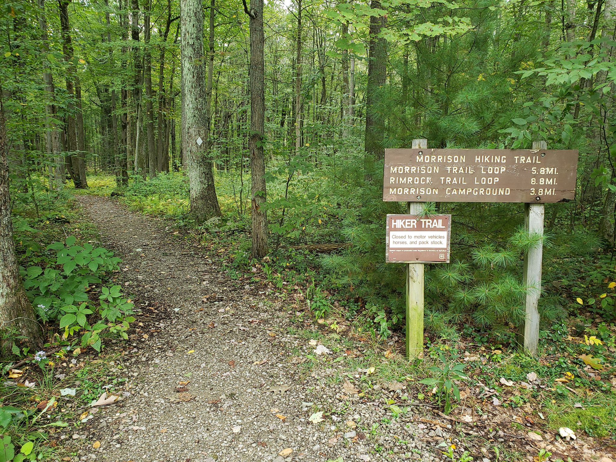 Photos of Bradford, Pennsylvania trails | AllTrails