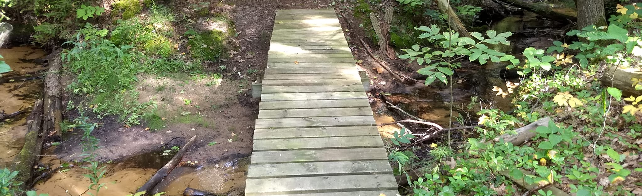 North Country Scenic Trail W - EyJidWNrZXQiOiJhc3NldHMuYWxsdHJhaWxzLmNvbSIsImtleSI6InVwbG9hZHMvcGhvdG8vaW1hZ2UvMjE0MTIzMjQvODBmYzU2NmE2YzE1ZjVmNTkwYmY1OGNjNjc5ZWExNmEuanBnIiwiZWRpdHMiOnsidG9Gb3JtYXQiOiJqcGVnIiwicmVzaXplIjp7IndpZHRoIjoyMDQ0LCJoZWlnaHQiOjYyNCwiZml0IjoiY292ZXIifSwicm90YXRlIjpudWxsLCJqcGVnIjp7InRyZWxsaXNRdWFudGlzYXRpb24iOnRydWUsIm92ZXJzaG9vdERlcmluZ2luZyI6dHJ1ZSwib3B0aW1pc2VTY2FucyI6dHJ1ZSwicXVhbnRpc2F0aW9uVGFibGUiOjN9fX0=