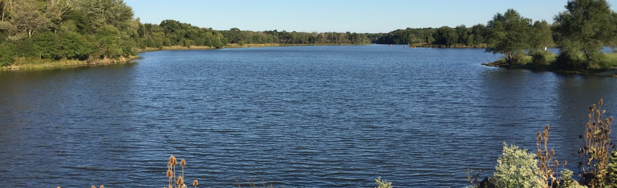 Busse Woods Loop Trail 1.090 foto Illinois AllTrails