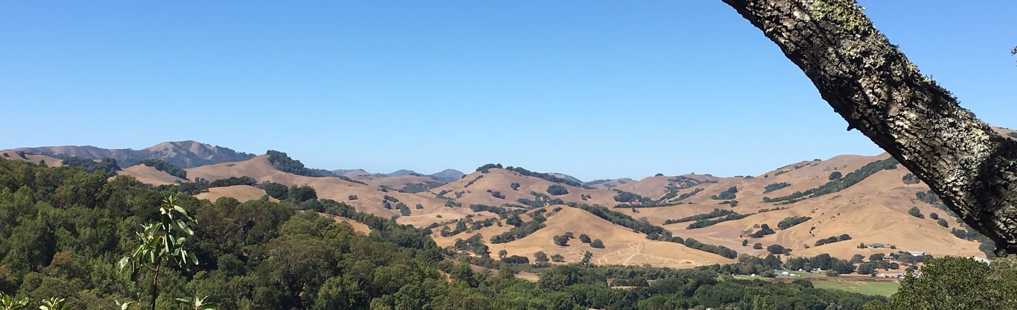 AllTrails Big Trees, Ships Mast, Indian Tree Fire Road 162 Reviews